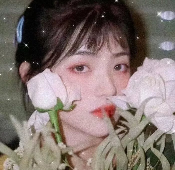 森林女王2024