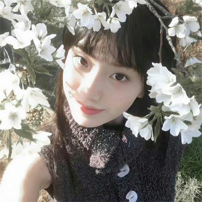 真假三莎伦