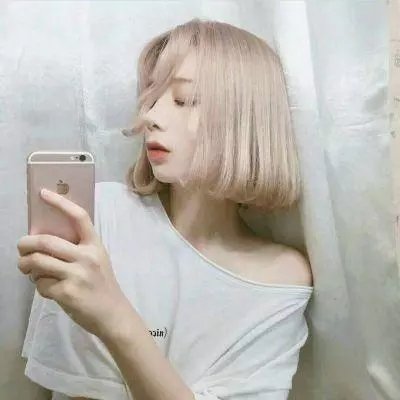 夏绿蒂的网